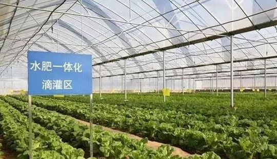 Ruiqing S29 pure electric cleaning vehicle